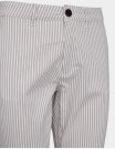 FQREX PANT TAUPE STRIPE thumbnail